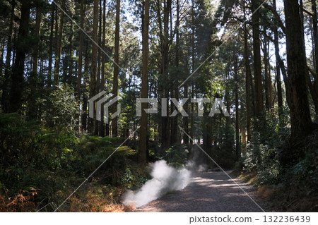 Scenery of the approach to Yamajinja Shrine Scenery of the approach to Yamajinja Shrine 132236439