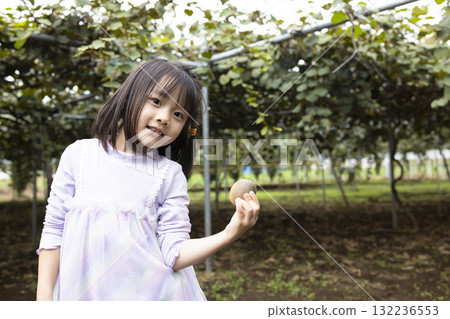 Cute little girl harvesting kiwi fruit 132236553