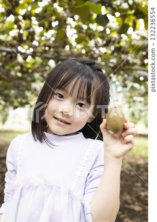 Cute little girl harvesting kiwi fruit Cute little girl harvesting kiwi fruit 132236554