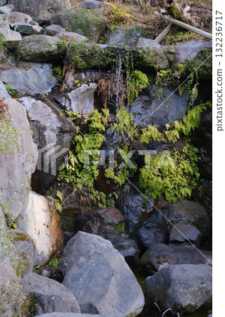 Quiet waterfall 132236717