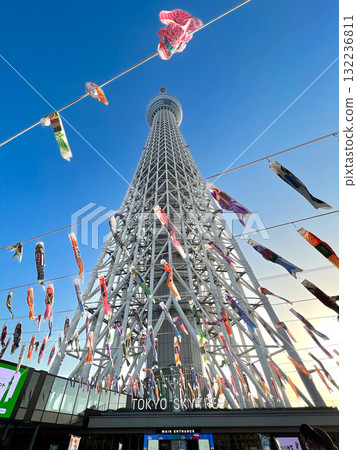 天空樹鯉魚旗 132236811