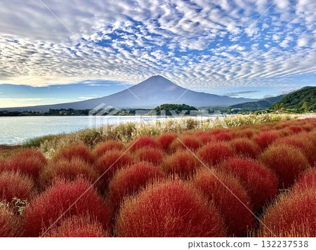秋天的Kokia和富士山 132237538