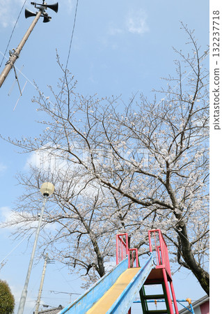 A park with a slide and cherry trees A park with a slide and cherry trees 132237718