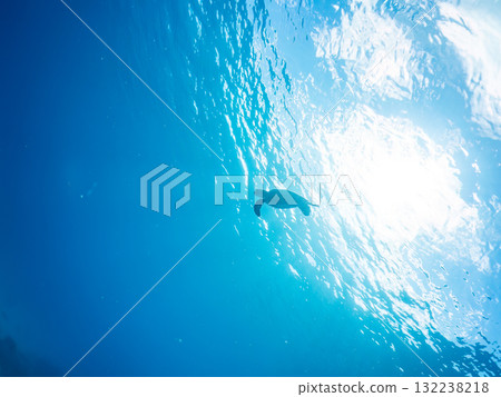 一隻綠海龜浮出水面呼吸。美麗的珊瑚礁和成群的熱帶魚。島尻郡慶良間諸島座間味島和阿室島 一隻綠海龜浮出水面呼吸。美麗的珊瑚礁和成群的熱帶魚。島尻郡慶良間諸島座間味島和阿室島 132238218