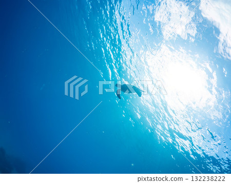 一隻綠海龜浮出水面呼吸。美麗的珊瑚礁和成群的熱帶魚。島尻郡慶良間諸島座間味島和阿室島 一隻綠海龜浮出水面呼吸。美麗的珊瑚礁和成群的熱帶魚。島尻郡慶良間諸島座間味島和阿室島 132238222