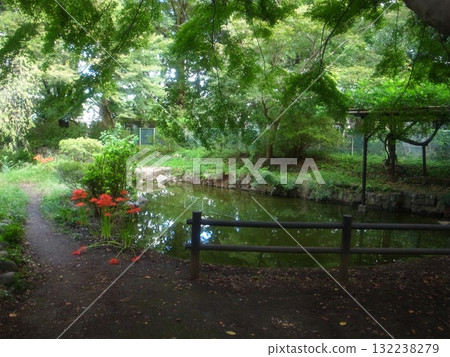 Yuenkan Park 132238279