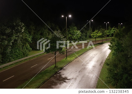 Road with a few trees on the side and a few street lights Road with a few trees on the side and a few street lights 132238345
