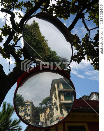 Two round mirrors are hanging from a tree branch Two round mirrors are hanging from a tree branch 132238406