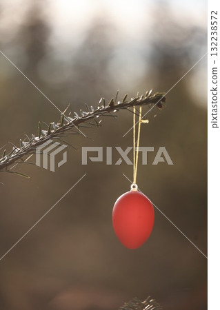 A red egg ornament hangs from a tree branch A red egg ornament hangs from a tree branch 132238572