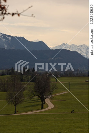 A road winds through a grassy field with a mountain range in the background 132238626
