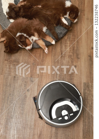 A black and silver robot is on a wooden floor next to a puppies 132238746