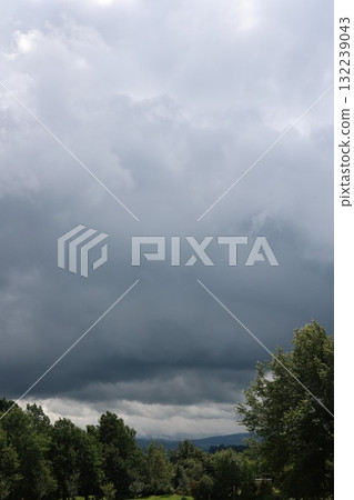 Cloudy sky with a few trees in the background 132239043