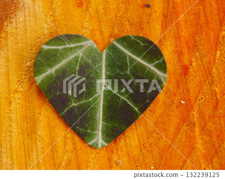 Leaf has been cut in half and is shaped like a heart Leaf has been cut in half and is shaped like a heart 132239125