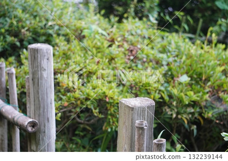 A landscape with a bamboo fence 132239144