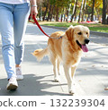 一名女子在公園遛狗 132239304