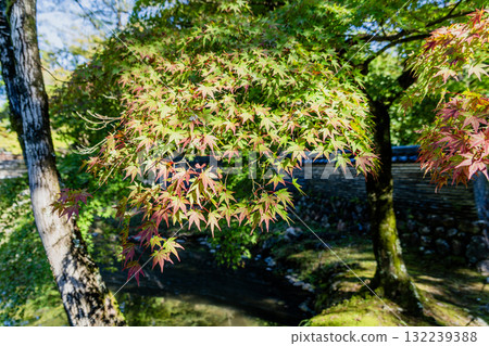厚景山永法寺的庭園景觀 132239388