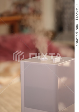 客廳裡的混合加濕器 客廳裡的混合加濕器 132239492