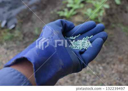 Spraying snail extermination chemicals in home gardens 132239497