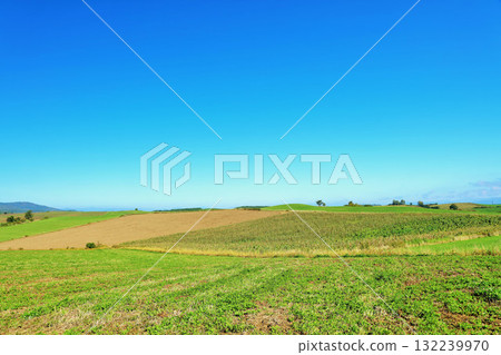 Hokkaido summer blue sky and Biei landscape Hokkaido summer blue sky and Biei landscape 132239970