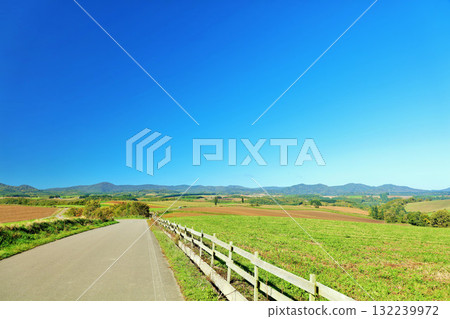 Hokkaido summer blue sky and Biei landscape 132239972