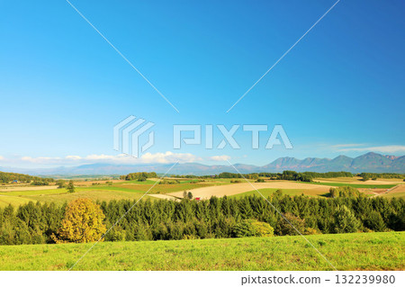Hokkaido Autumn blue sky and Biei scenery 132239980
