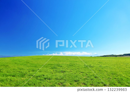 Hokkaido summer blue sky and fresh green meadow scenery 132239983