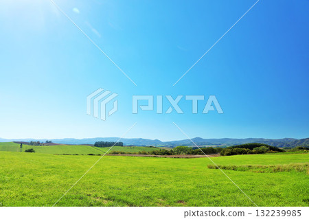 Hokkaido summer blue sky and fresh green meadow scenery Hokkaido summer blue sky and fresh green meadow scenery 132239985