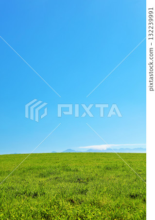 Hokkaido summer blue sky and fresh green meadow scenery Hokkaido summer blue sky and fresh green meadow scenery 132239991