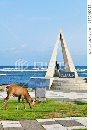 北海道:藍天碧海的宗谷岬和蝦夷鹿 北海道:藍天碧海的宗谷岬和蝦夷鹿 132240011