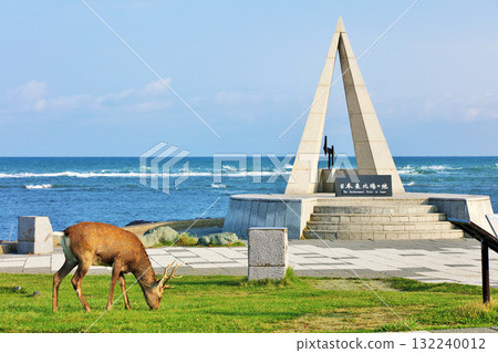 北海道：藍天碧海的宗谷岬和蝦夷鹿 132240012