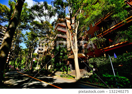 初秋陽光下的林蔭大道－廣尾的豪華公寓 132240275