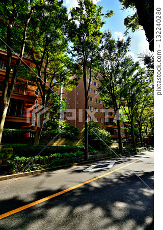 A tree-lined street bathed in sunlight in early autumn - a luxury apartment in Hiroo 132240280