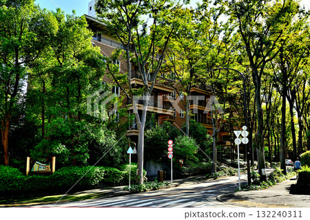 A tree-lined street bathed in sunlight in early autumn - a luxury apartment in Hiroo 132240311
