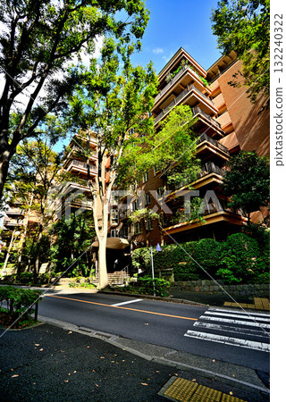A tree-lined street bathed in sunlight in early autumn - a luxury apartment in Hiroo 132240322