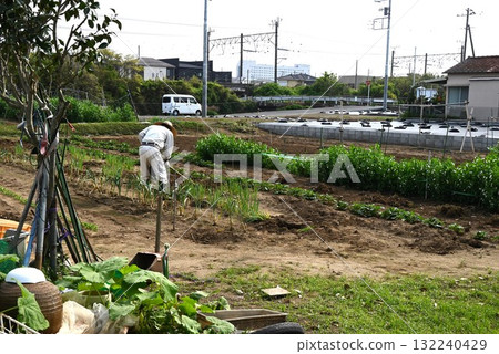 Elderly people working on farms, lack of successors, social issues 132240429