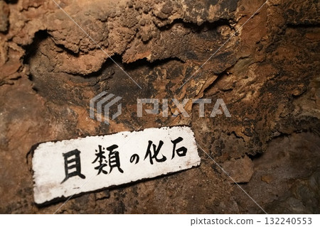 Inside the Gujo Cave (Gujo City, Gifu Prefecture) 132240553