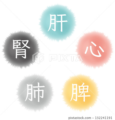 中醫五髒 132241191