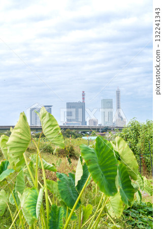 『埼玉縣』見沼稻田風景、埼玉市 132241343
