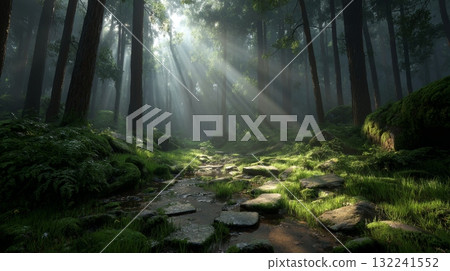 Serene Forest Landscape with Mossy Ground and Sunlight Rays Serene Forest Landscape with Mossy Ground and Sunlight Rays 132241552