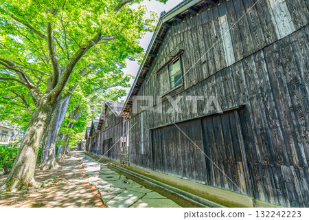 Sakata City, Yamagata Prefecture: Beautiful springtime greenery at Sankyo Souko Sakata City, Yamagata Prefecture: Beautiful springtime greenery at Sankyo Souko 132242223