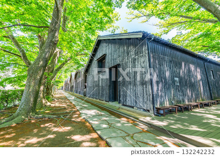 Sakata City, Yamagata Prefecture: Beautiful springtime greenery at Sankyo Souko 132242232