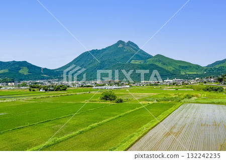 Yufuin in June: Mount Yufu and rice fields Yufuin in June: Mount Yufu and rice fields 132242235