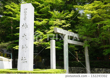 供奉大神猿彥的椿大社 供奉大神猿彥的椿大社 132243302