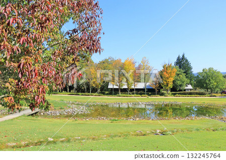 安野千尋公園在秋天 132245764