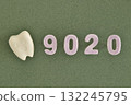 9020 and Miniature Teeth 132245795