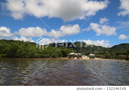Underwater Island Underwater Island 132246148