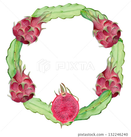Dragon fruit, cactus leaf hand-painted watercolor wreath isolated on white. Tropical exotic fruit artwork, perfect for botanical prints, cards, packaging design, healthy food concepts, summer decor. 132246240