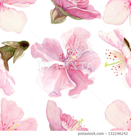 Sakura flowers seamless pattern watercolor, pink tones, hand-painted in natural botanical style isolated on white background. Perfect for wedding invitations, spring cards, packaging, textile design. Sakura flowers seamless pattern watercolor, pink tones, hand-painted in natural botanical style isolated on white background. Perfect for wedding invitations, spring cards, packaging, textile design. 132246242