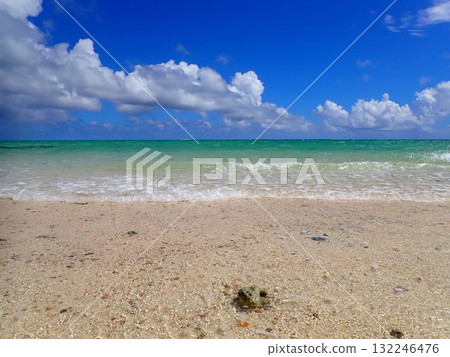 夏天的濱島 132246476