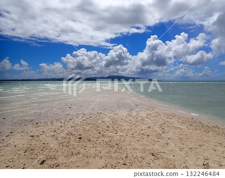 夏天的濱島 132246484